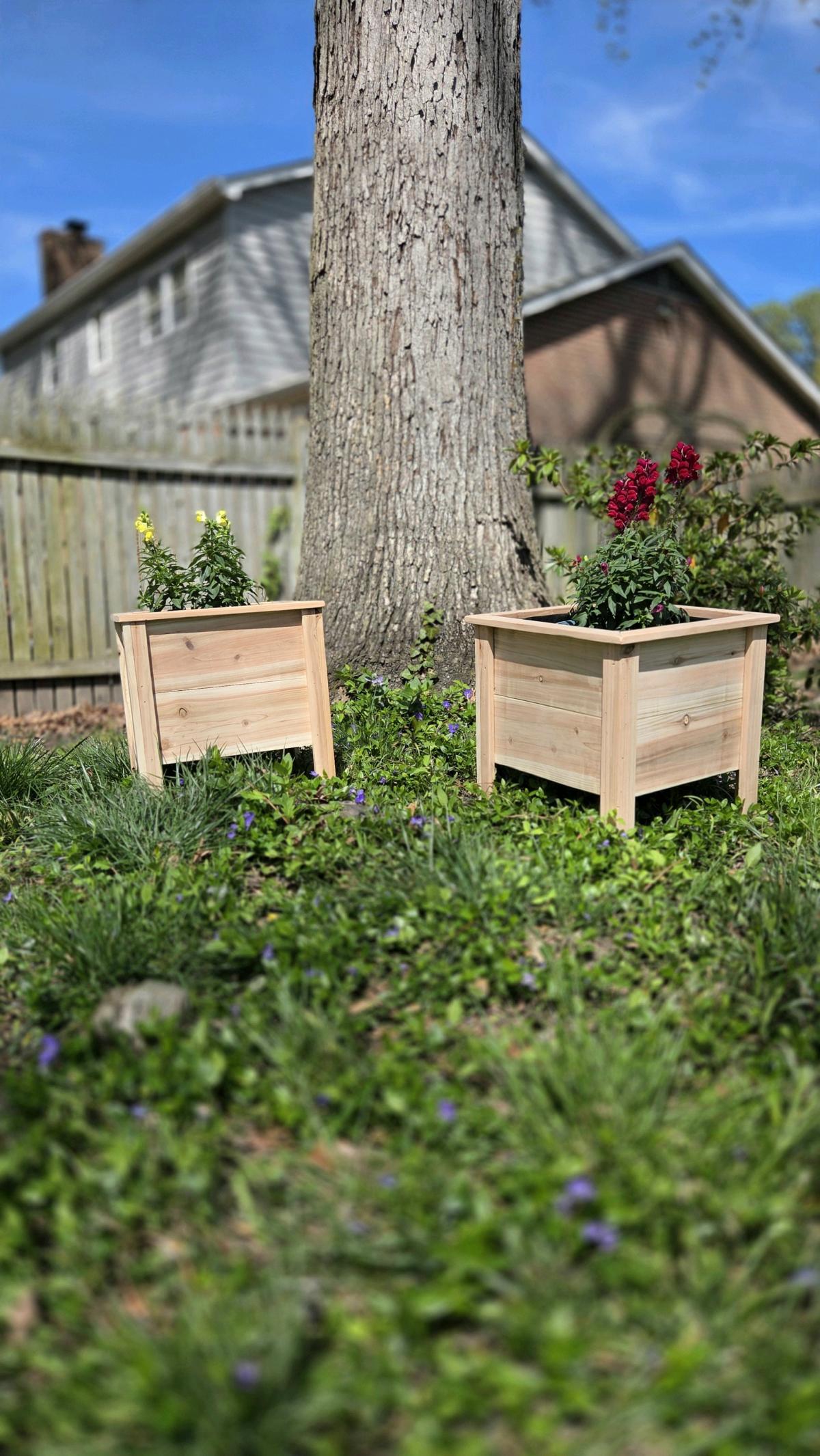 Cedar planters - Hampton, Virginia
