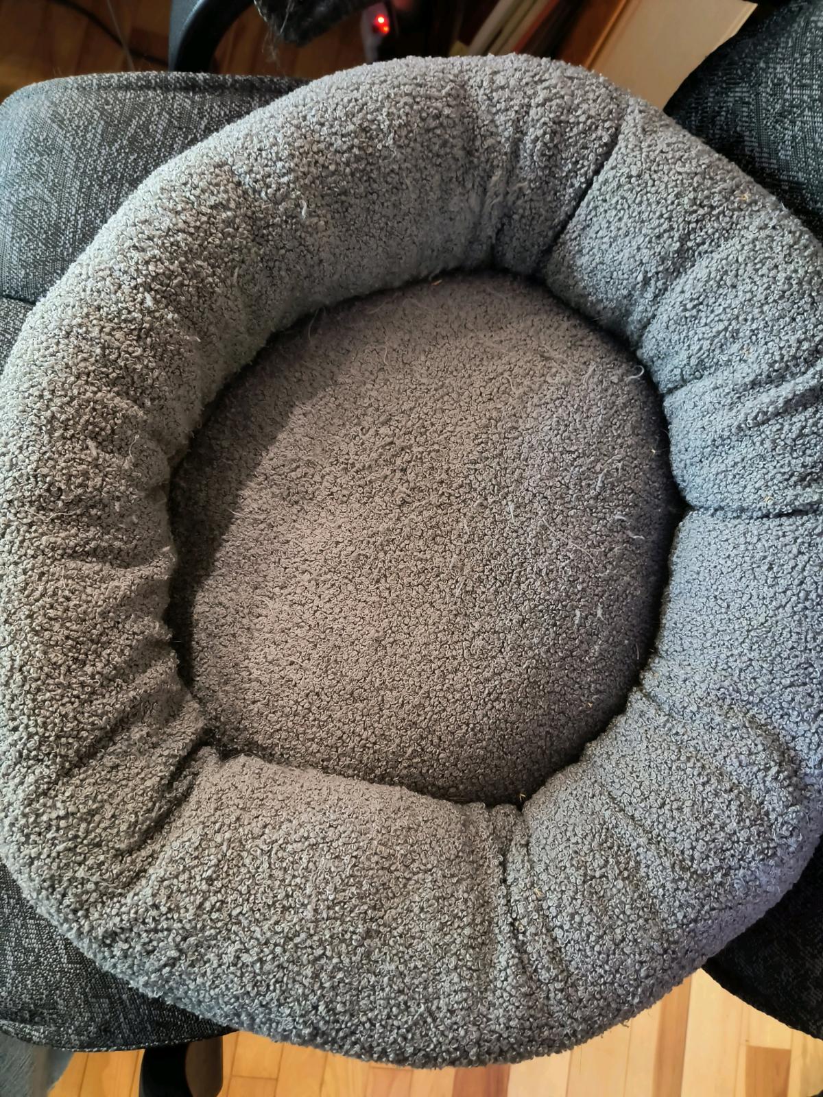 Plush Cat Bed - Warrensburg, Missouri