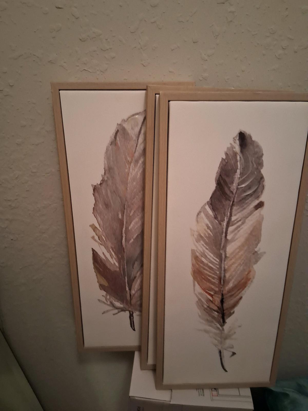 Never Used Feather Oil painting Wall Pictures Set of 3