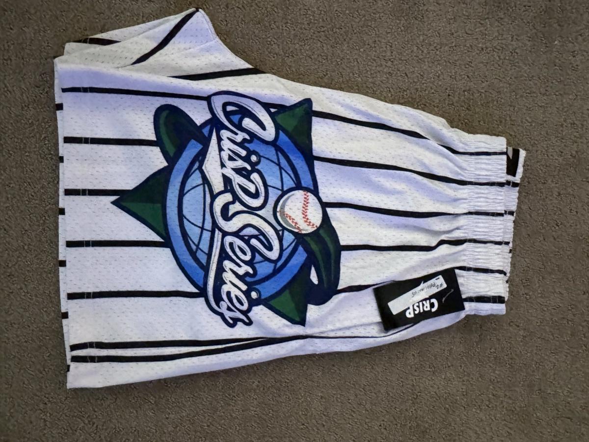 Los Angeles Dodgers Mesh Shorts - Lake Elsinore, California - FleaMarketBay