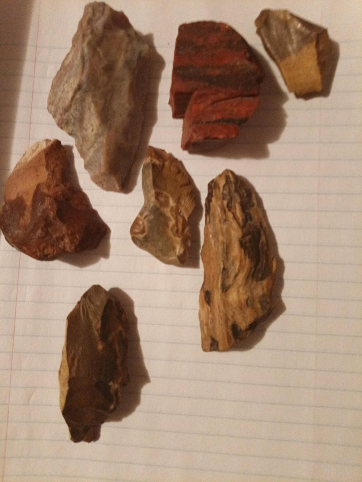 petrified wood - Double Springs, Alabama