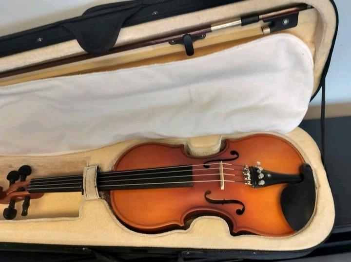 Viola - Baton Rouge, Louisiana - FleaMarketBay
