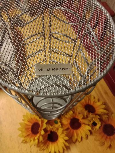 mind reader 35 pod holder carousel