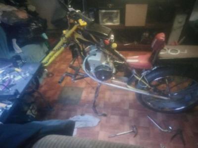 stingray custom motor bike