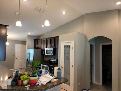 Professional Painting Services