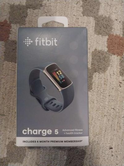 Brand New Fitbit Change 5 smartwatch with a extra