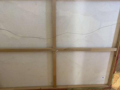 Flower canvas painting - Thumbnail 4