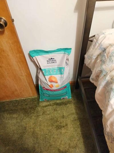 dog food - Thumbnail 2