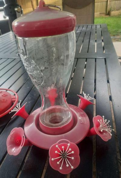 Four bird feeders - Thumbnail 5