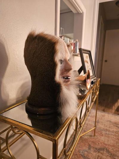 Assquatch - Thumbnail 2