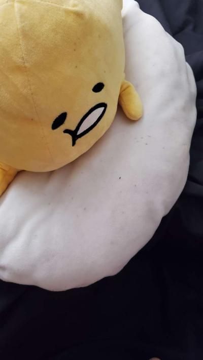 Gudetama Egg Plush JOLIET - Thumbnail 3