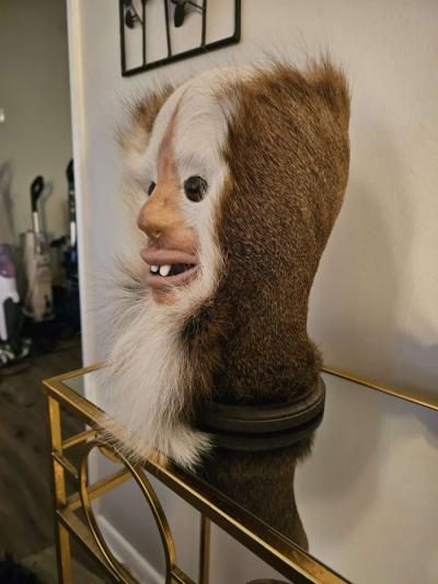 Assquatch - Thumbnail 3