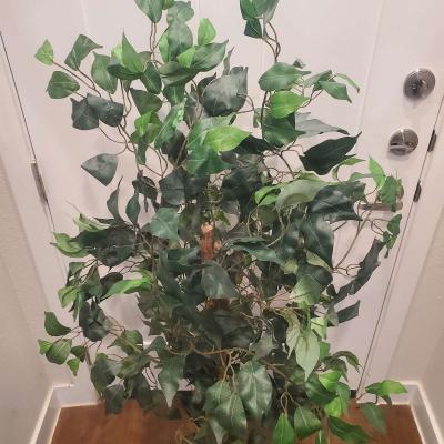 4 12 ft Artificial Fake Ficus Tree - Thumbnail 2