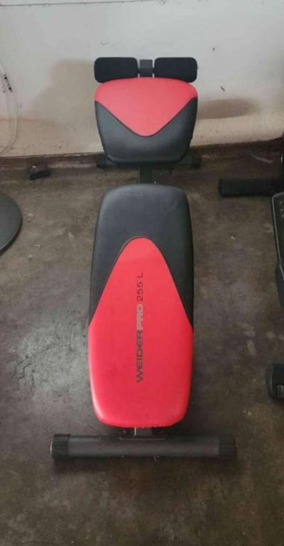 Epileptic and Gym Bench - Thumbnail 2