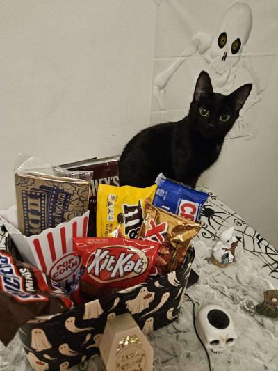 Halloween Miniature Candy Box - Thumbnail 4