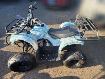 2015 Tao Tao - Thumbnail 2