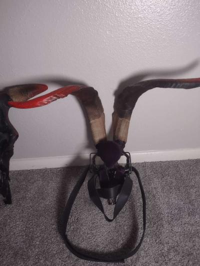 Painted Animal Skull Masks - Thumbnail 5