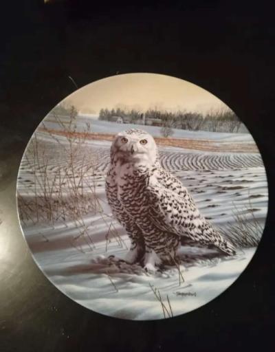 4 Vintage Collectable Plates - Thumbnail 2