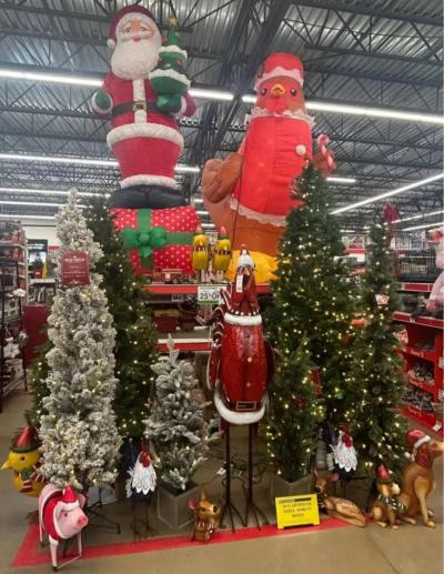 all live and artificial Christmas tree - Thumbnail 2
