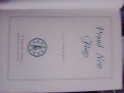 Proud New Flags - Thumbnail 5