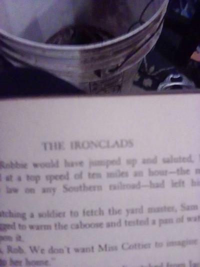 Proud New Flags - Thumbnail 3