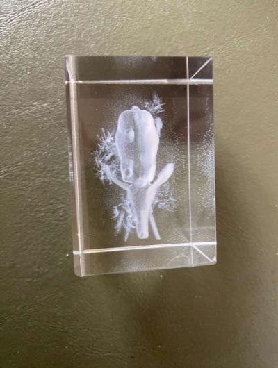 3D elephant cube - Thumbnail 2