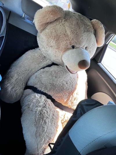 big bear 53 inch - Thumbnail 2