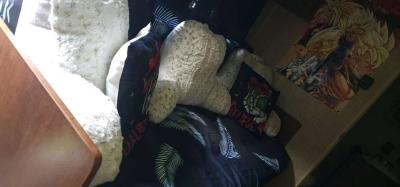 2015 sportsman classic camper 20ft message for more details - Thumbnail 6