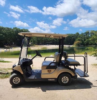 2019 YAHAMA DRIVE 2  48 VOLT GOLF CART - Thumbnail 7