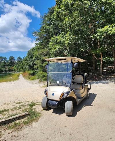 2019 YAHAMA DRIVE 2  48 VOLT GOLF CART - Thumbnail 8