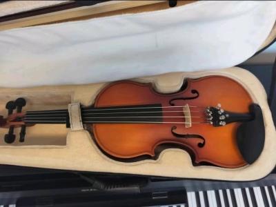 Viola - Thumbnail 5